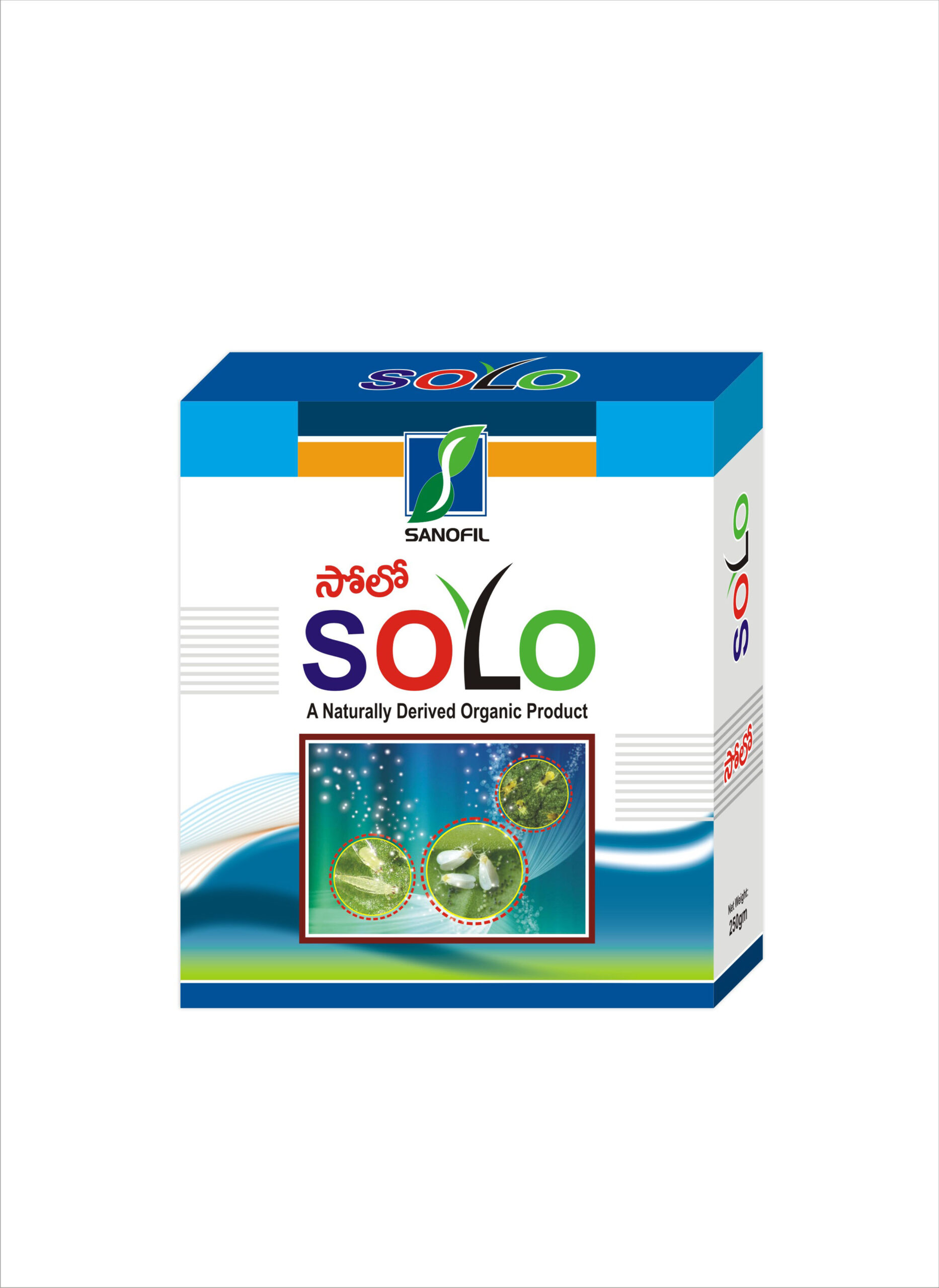 SOLO