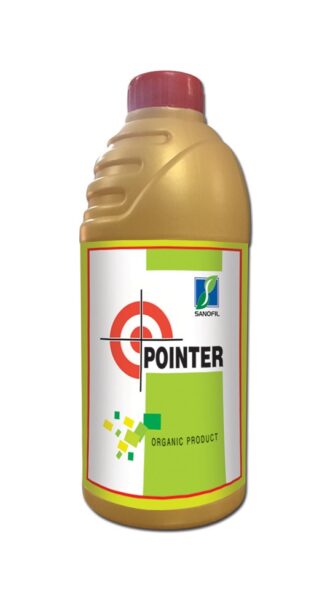 POINTER