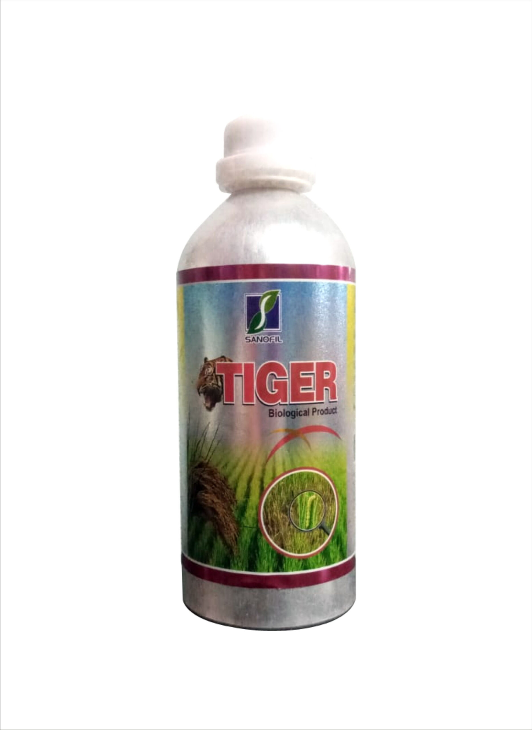 TIGER